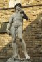 David
Florence, Toscane, Italie
Statue de Michel Ange (1501)